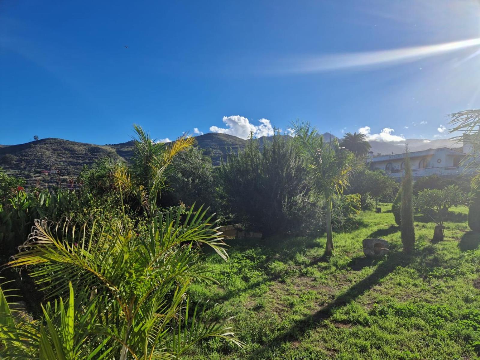 Casa Con Piscina, High-speed Wi-fi Y Vistas Holiday home Santa Brigida (Gran Canaria)